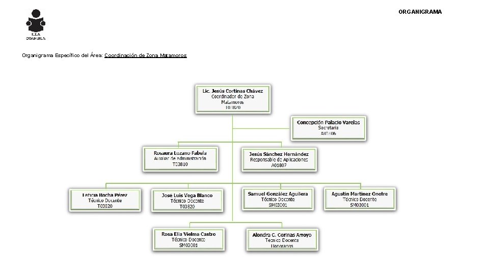 ORGANIGRAMA Organigrama Específico del Área: Coordinación de Zona Matamoros 