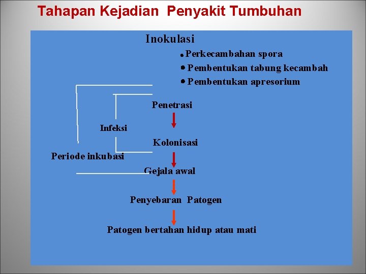 Tahapan Kejadian Penyakit Tumbuhan Inokulasi Perkecambahan spora Pembentukan tabung kecambah Pembentukan apresorium Penetrasi Infeksi