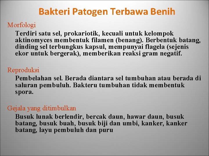 Bakteri Patogen Terbawa Benih Morfologi Terdiri satu sel, prokariotik, kecuali untuk kelompok aktinomyces membentuk