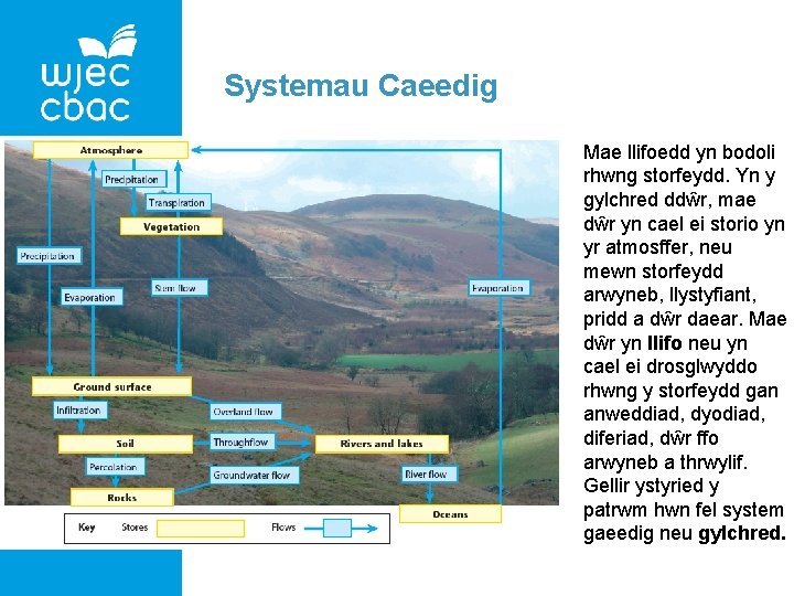 Systemau Caeedig Mae llifoedd yn bodoli rhwng storfeydd. Yn y gylchred ddŵr, mae dŵr