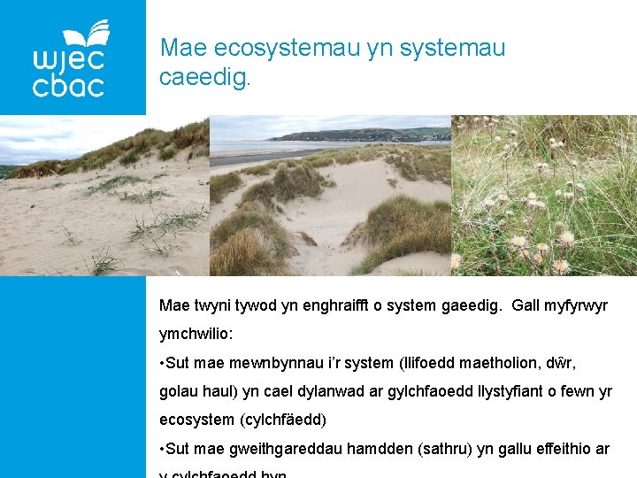 Mae ecosystemau yn systemau caeedig. Mae twyni tywod yn enghraifft o system gaeedig. Gall