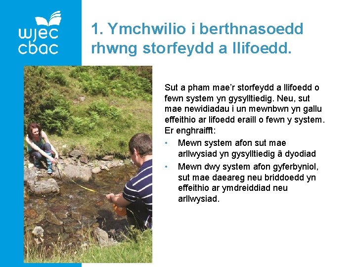 1. Ymchwilio i berthnasoedd rhwng storfeydd a llifoedd. Sut a pham mae’r storfeydd a