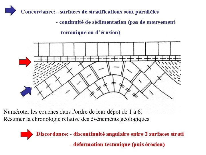 Concordance: - surfaces de stratifications sont parallèles - continuité de sédimentation (pas de mouvement