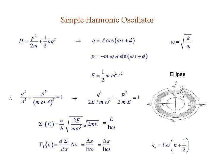 Simple Harmonic Oscillator Ellipse 