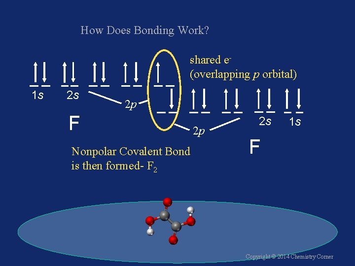 How Does Bonding Work? shared e(overlapping p orbital) 1 s 2 s 2 p