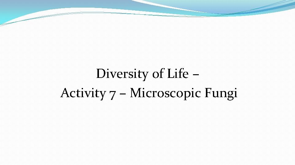 Diversity of Life – Activity 7 – Microscopic Fungi 