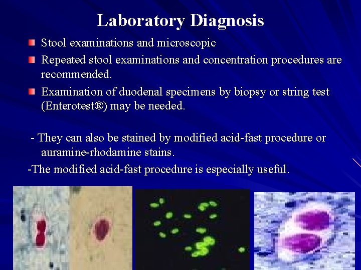 Laboratory Diagnosis Stool examinations and microscopic Repeated stool examinations and concentration procedures are recommended.