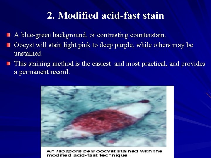 2. Modified acid-fast stain A blue-green background, or contrasting counterstain. Oocyst will stain light