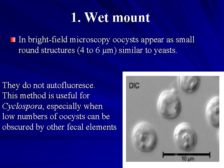 1. Wet mount In bright-field microscopy oocysts appear as small round structures (4 to