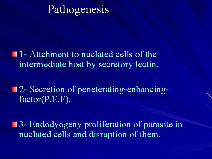 Pathogenesis 1 - Attchment to nuclated cells of the intermediate host by secretory lectin.