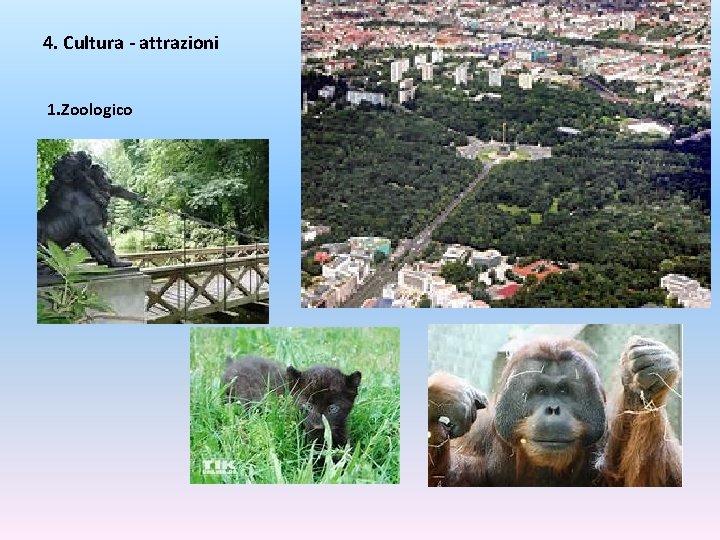 4. Cultura - attrazioni 1. Zoologico 