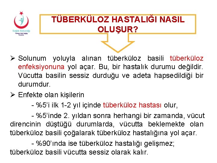 TÜBERKÜLOZ HASTALIĞI NASIL OLUŞUR? Ø Solunum yoluyla alınan tüberküloz basili tüberküloz enfeksiyonuna yol açar.