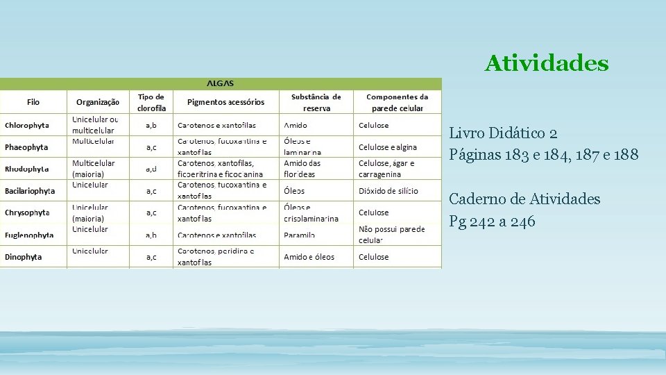 Atividades Livro Didático 2 Páginas 183 e 184, 187 e 188 Caderno de Atividades