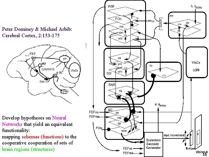 Filling in the Schemas: Neural Network Models Based on Monkey Neurophysiology Peter Dominey &