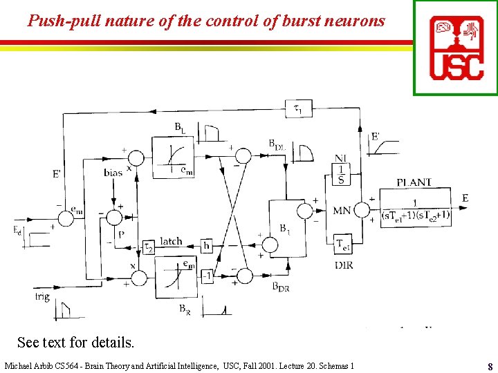 Push-pull nature of the control of burst neurons See text for details. Michael Arbib