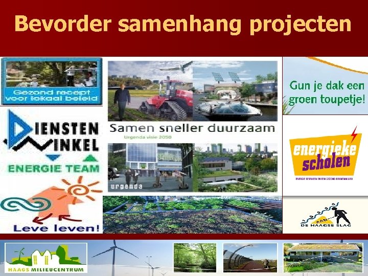 Bevorder samenhang projecten 