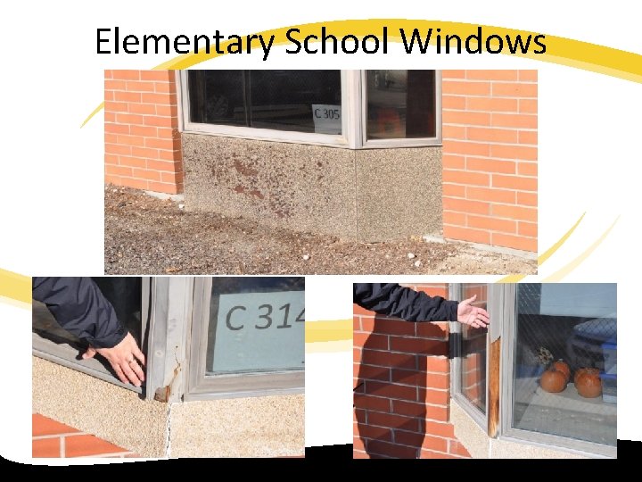 Elementary School Windows 