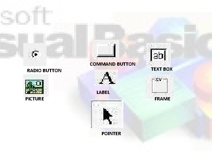 COMMAND BUTTON RADIO BUTTON TEXT BOX LABEL PICTURE FRAME POINTER 