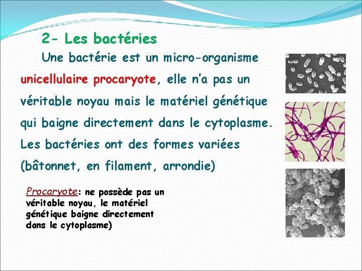 2 - Les bactéries Une bactérie est un micro-organisme unicellulaire procaryote, elle n’a pas