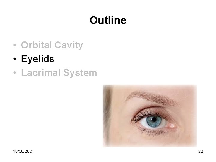 Outline • Orbital Cavity • Eyelids • Lacrimal System 10/30/2021 22 