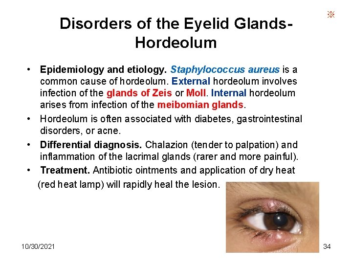 Disorders of the Eyelid Glands. Hordeolum ※ • Epidemiology and etiology. Staphylococcus aureus is