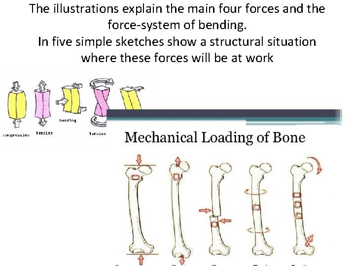 The illustrations explain the main four forces and the force-system of bending. In five