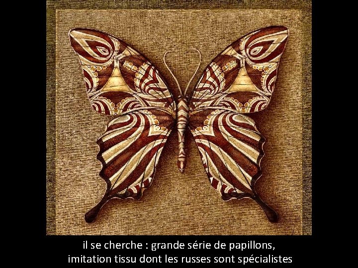 il se cherche : grande série de papillons, imitation tissu dont les russes sont