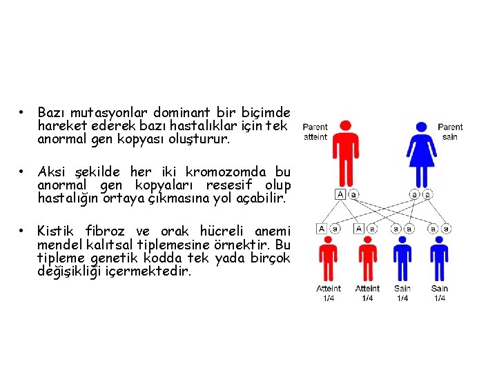  • Bazı mutasyonlar dominant bir biçimde hareket ederek bazı hastalıklar için tek anormal