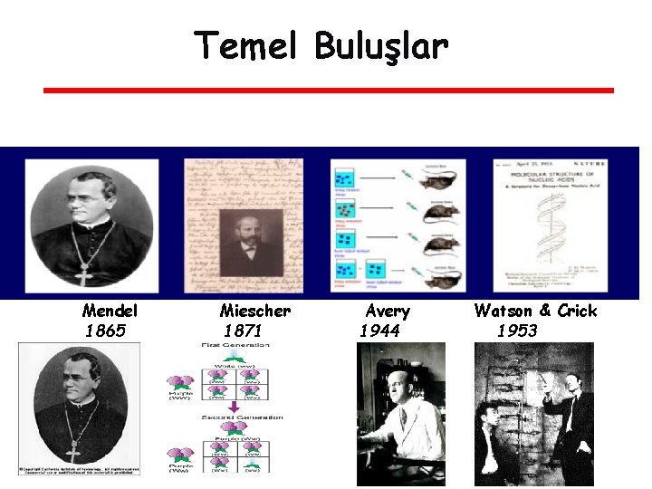 Temel Buluşlar Mendel 1865 Miescher 1871 Avery 1944 Watson & Crick 1953 