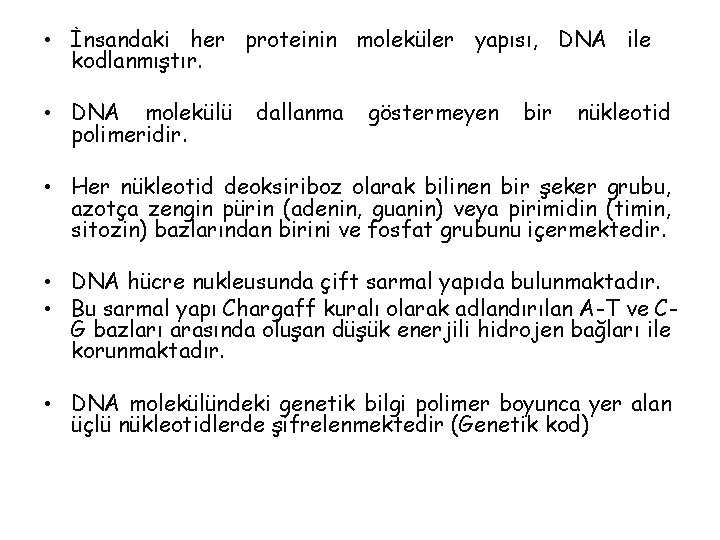  • İnsandaki her proteinin moleküler yapısı, DNA ile kodlanmıştır. • DNA molekülü polimeridir.