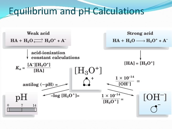 Equilibrium and p. H Calculations 