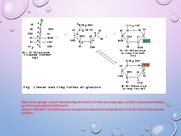 https: //www. google. com/url? sa=i&url=https%3 A%2 F%2 Fhtml. rincondelvago. com%2 Fcarbohydrate. html&ps ig=AOv. Vaw