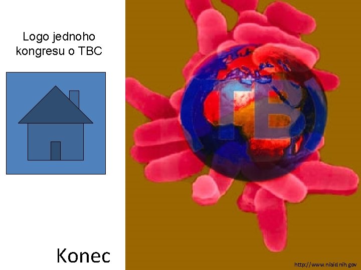Logo jednoho kongresu o TBC Konec http: //www. niaid. nih. gov 