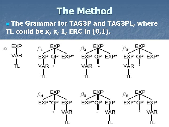 The Method The Grammar for TAG 3 P and TAG 3 PL, where TL