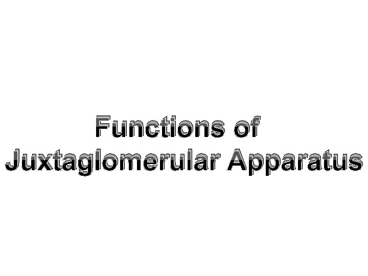 Functions of Juxtaglomerular Apparatus 