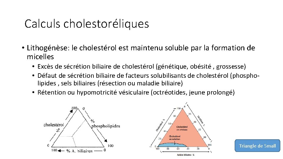 Calculs cholestoréliques • Lithogénèse: le cholestérol est maintenu soluble par la formation de micelles