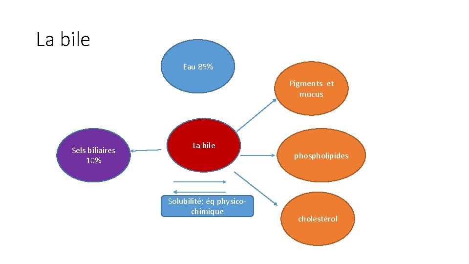 La bile Eau 85% Pigments et mucus Sels biliaires 10% La bile Solubilité: éq