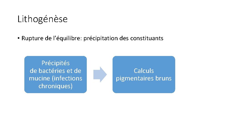 Lithogénèse • Rupture de l’équilibre: précipitation des constituants Précipités de bactéries et de mucine