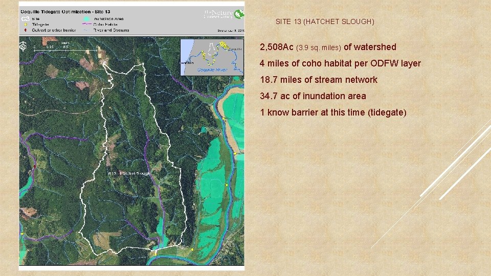 SITE 13 (HATCHET SLOUGH) 2, 508 Ac (3. 9 sq. miles) of watershed 4