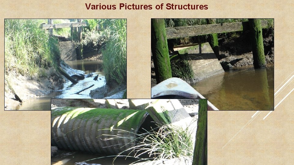 Various Pictures of Structures 