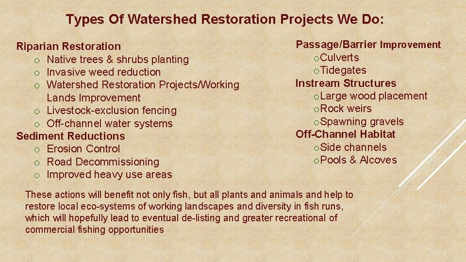 Types Of Watershed Restoration Projects We Do: Riparian Restoration o Native trees & shrubs