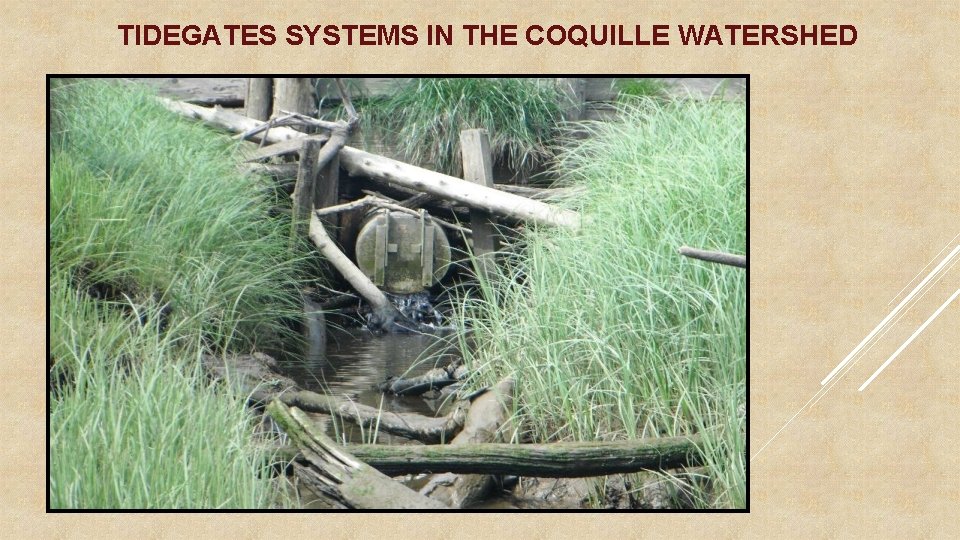 TIDEGATES SYSTEMS IN THE COQUILLE WATERSHED 