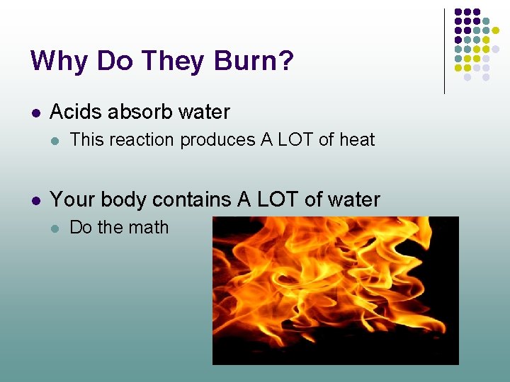 Why Do They Burn? l Acids absorb water l l This reaction produces A