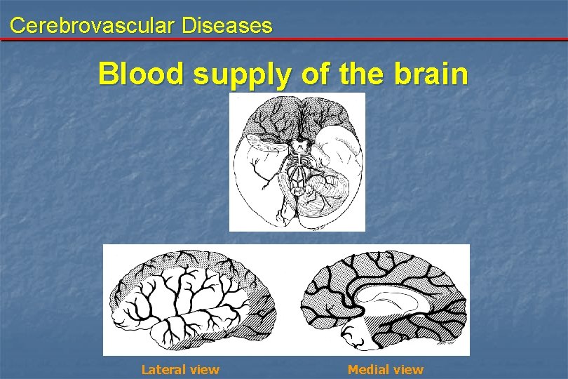 Cerebrovascular Diseases Blood supply of the brain Lateral view Medial view 