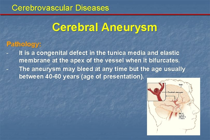 Cerebrovascular Diseases Cerebral Aneurysm Pathology: - It is a congenital defect in the tunica
