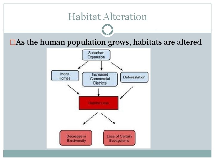 Habitat Alteration �As the human population grows, habitats are altered 