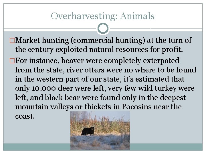 Overharvesting: Animals �Market hunting (commercial hunting) at the turn of the century exploited natural