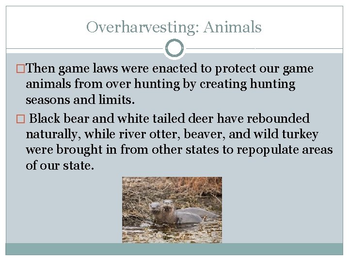 Overharvesting: Animals �Then game laws were enacted to protect our game animals from over