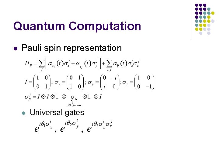 Quantum Computation l Pauli spin representation l Universal gates 