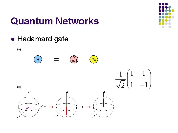 Quantum Networks l Hadamard gate 